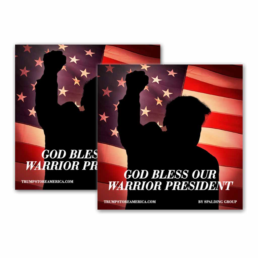 (Pack of 2) Bumper Sticker - Warrior President